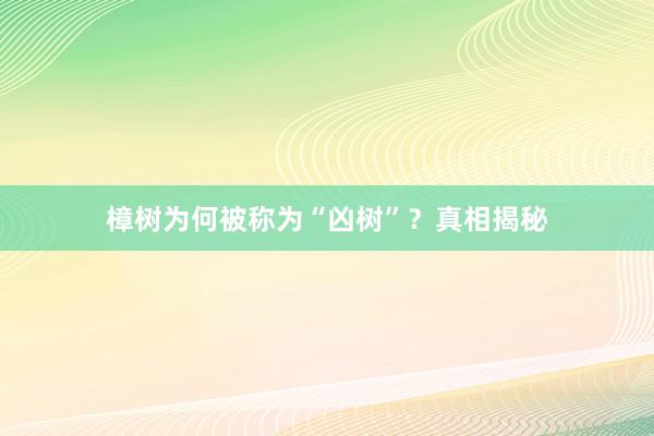樟树为何被称为“凶树”？真相揭秘
